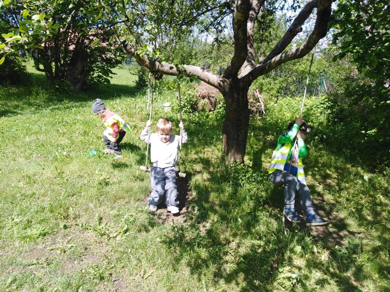 Vycházka za jeleny a návštěva lesní školky - 56