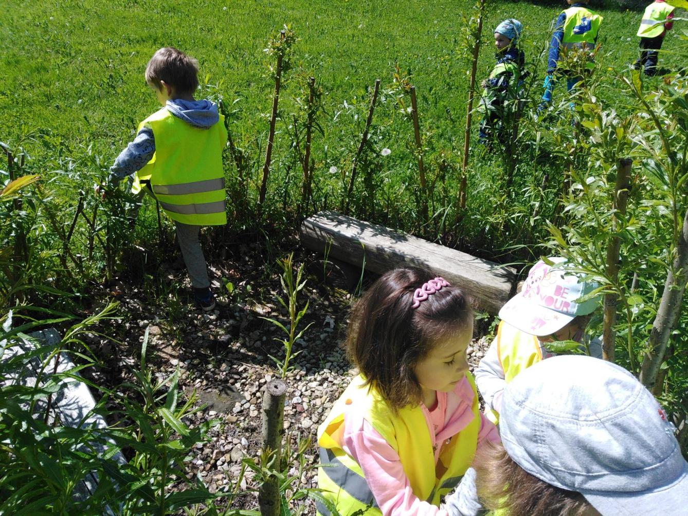 Vycházka za jeleny a návštěva lesní školky - 59