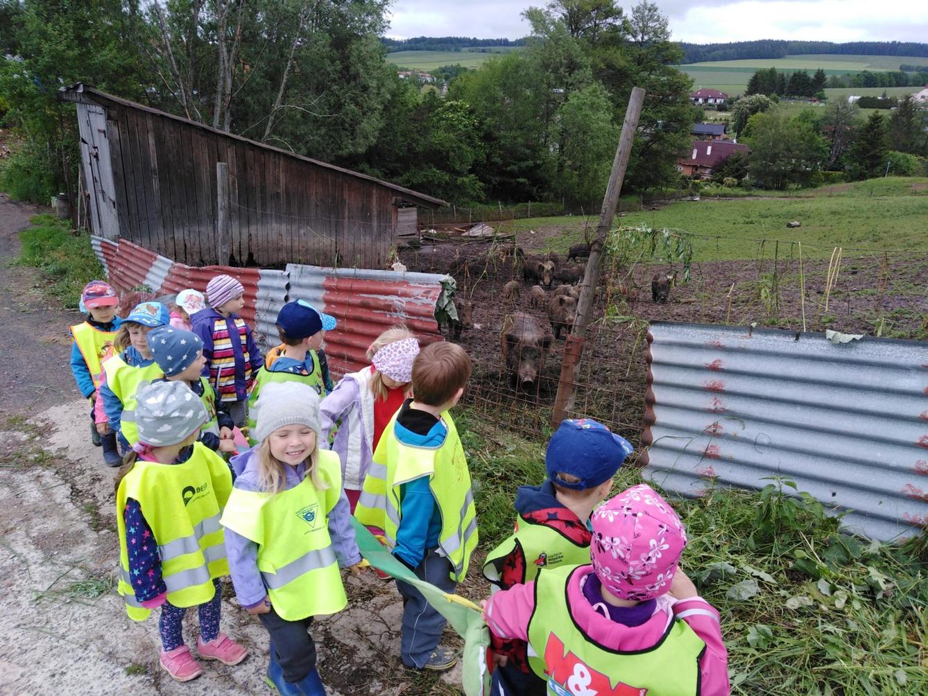 Máme rádi zvířata: divoká prasátka (Broučci) - 7
