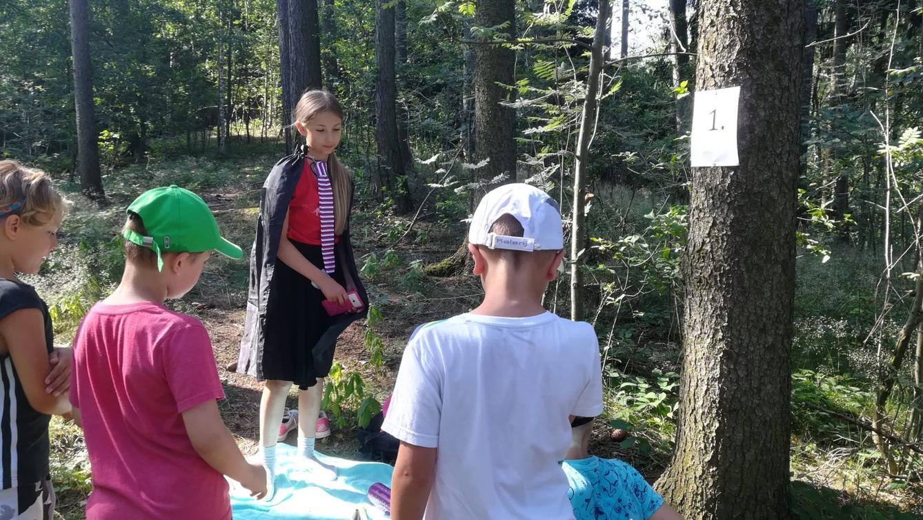 Pohádkový les - 19