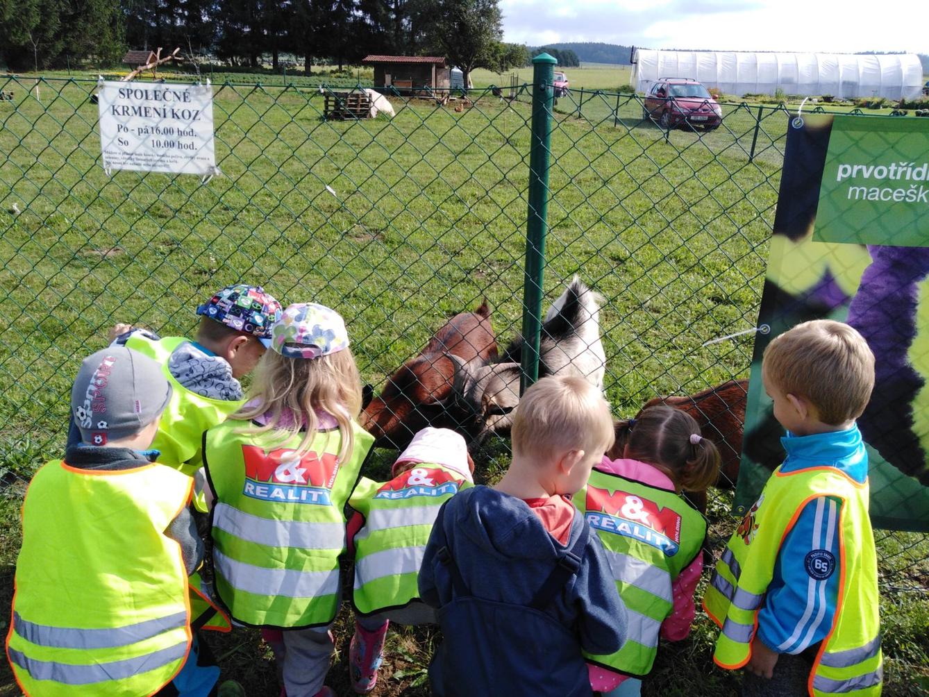 Broučci: vycházka za kozičkami - 6