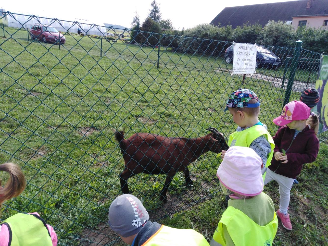 Broučci: vycházka za kozičkami - 9