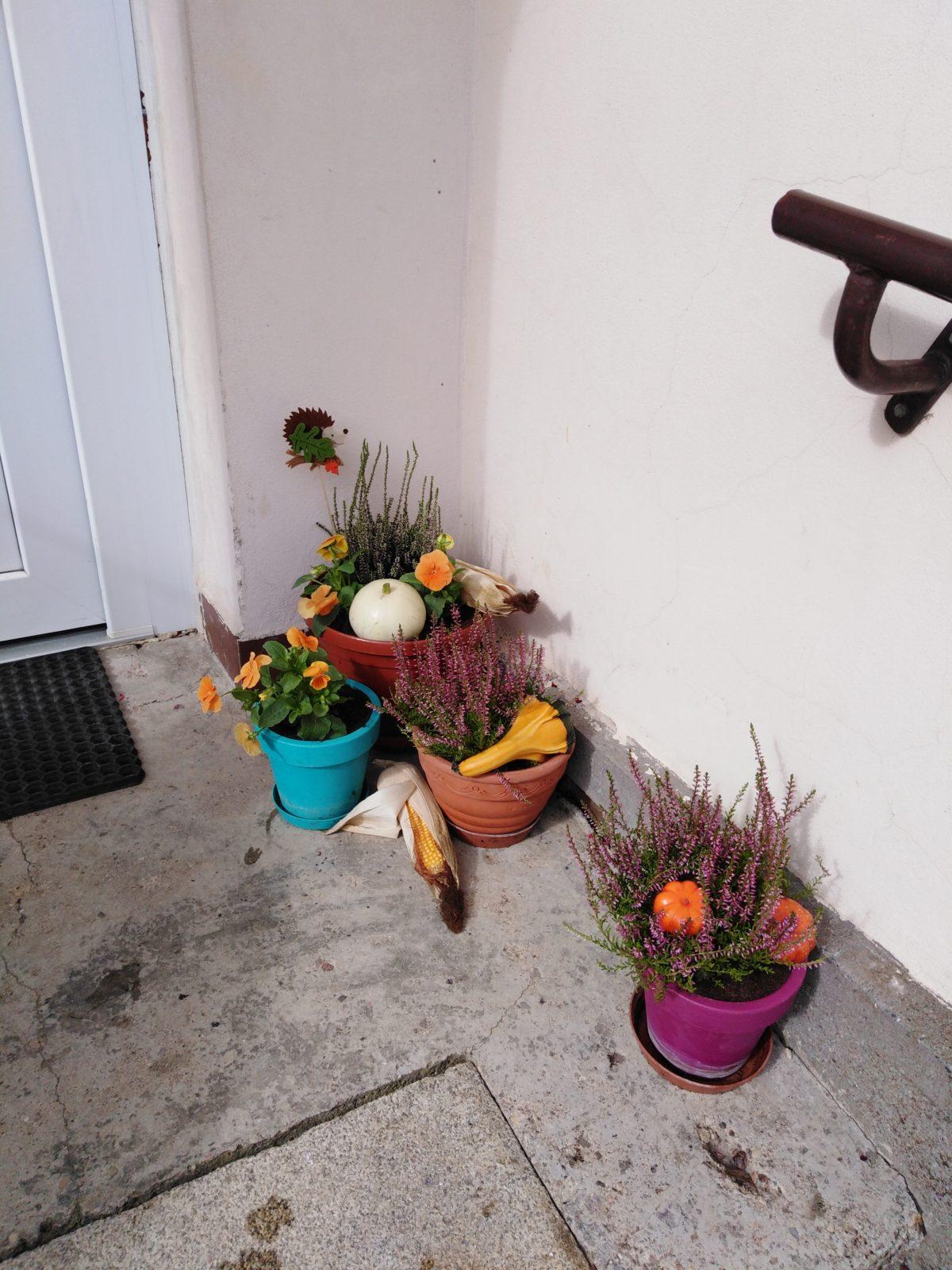 Podzimní květinová výzdoba MŠ - 9