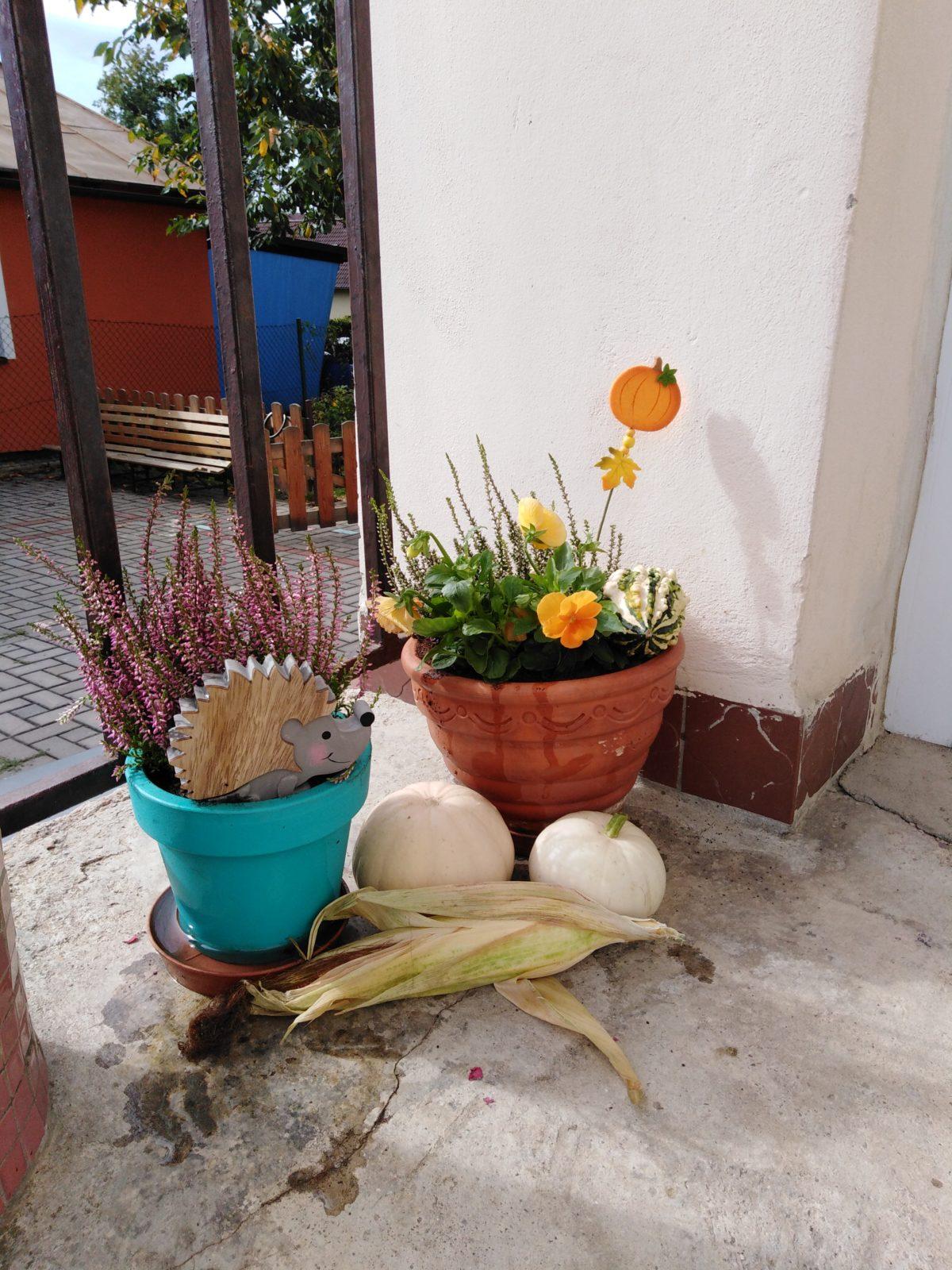 Podzimní květinová výzdoba MŠ - 10