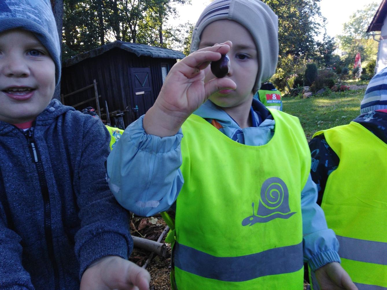 Broučci: "sbíráme kaštánky" - 2