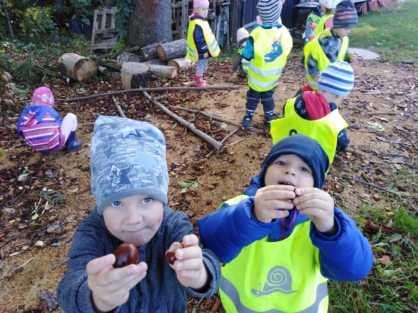 Broučci: "sbíráme kaštánky" - 4