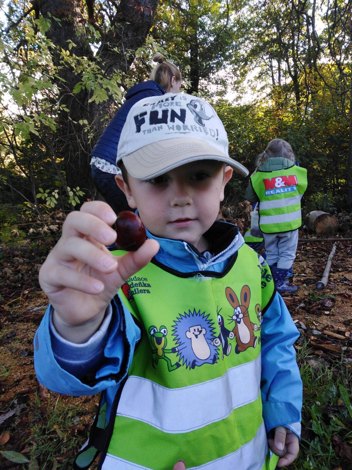 Broučci: "sbíráme kaštánky" - 7