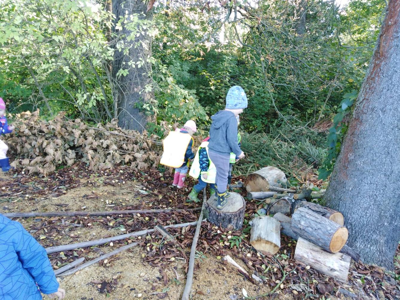 Broučci: "sbíráme kaštánky" - 10