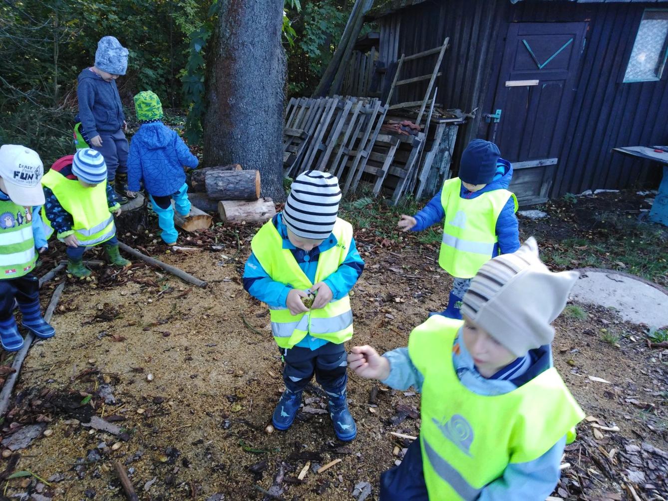 Broučci: "sbíráme kaštánky" - 11