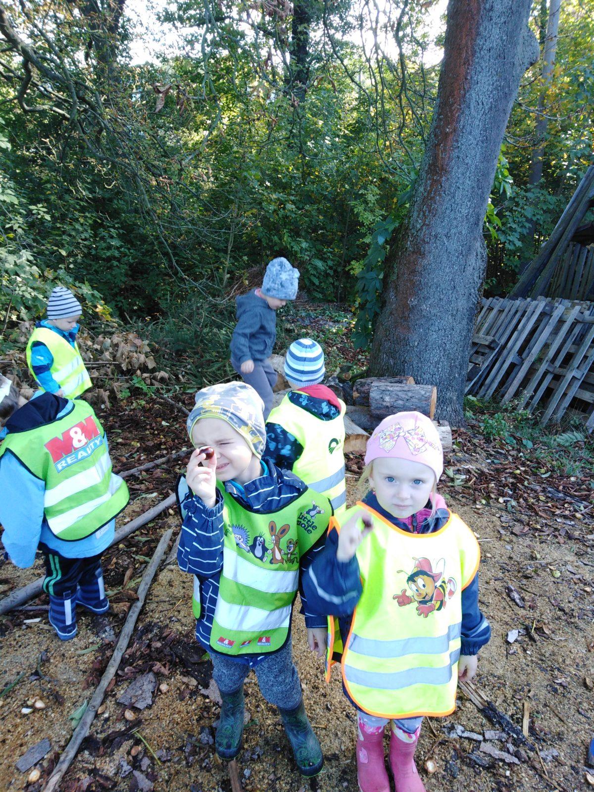 Broučci: "sbíráme kaštánky" - 12