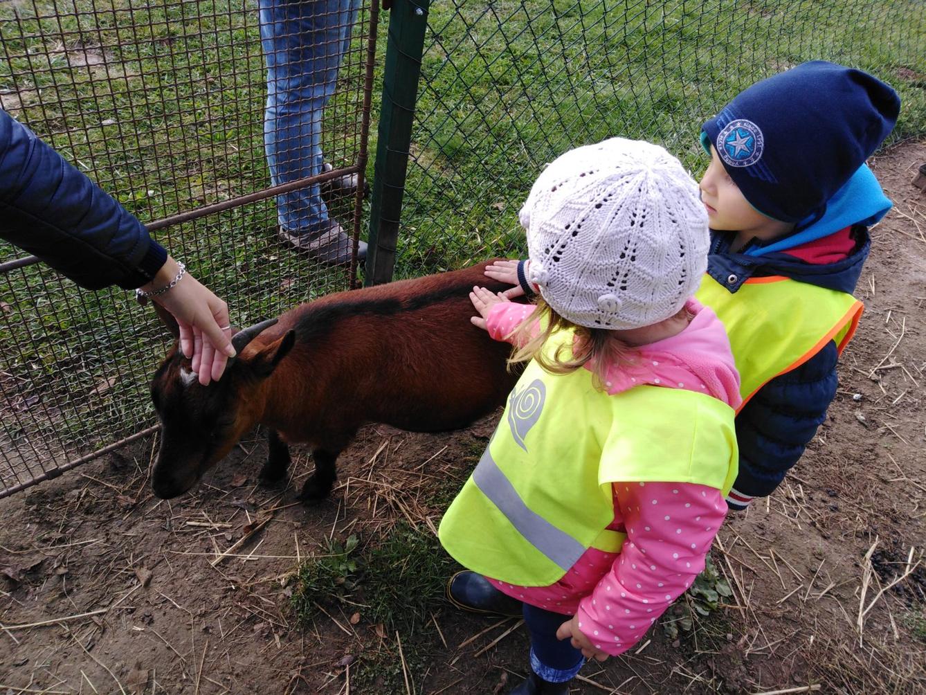 Broučci: vycházky za zvířátky - 1