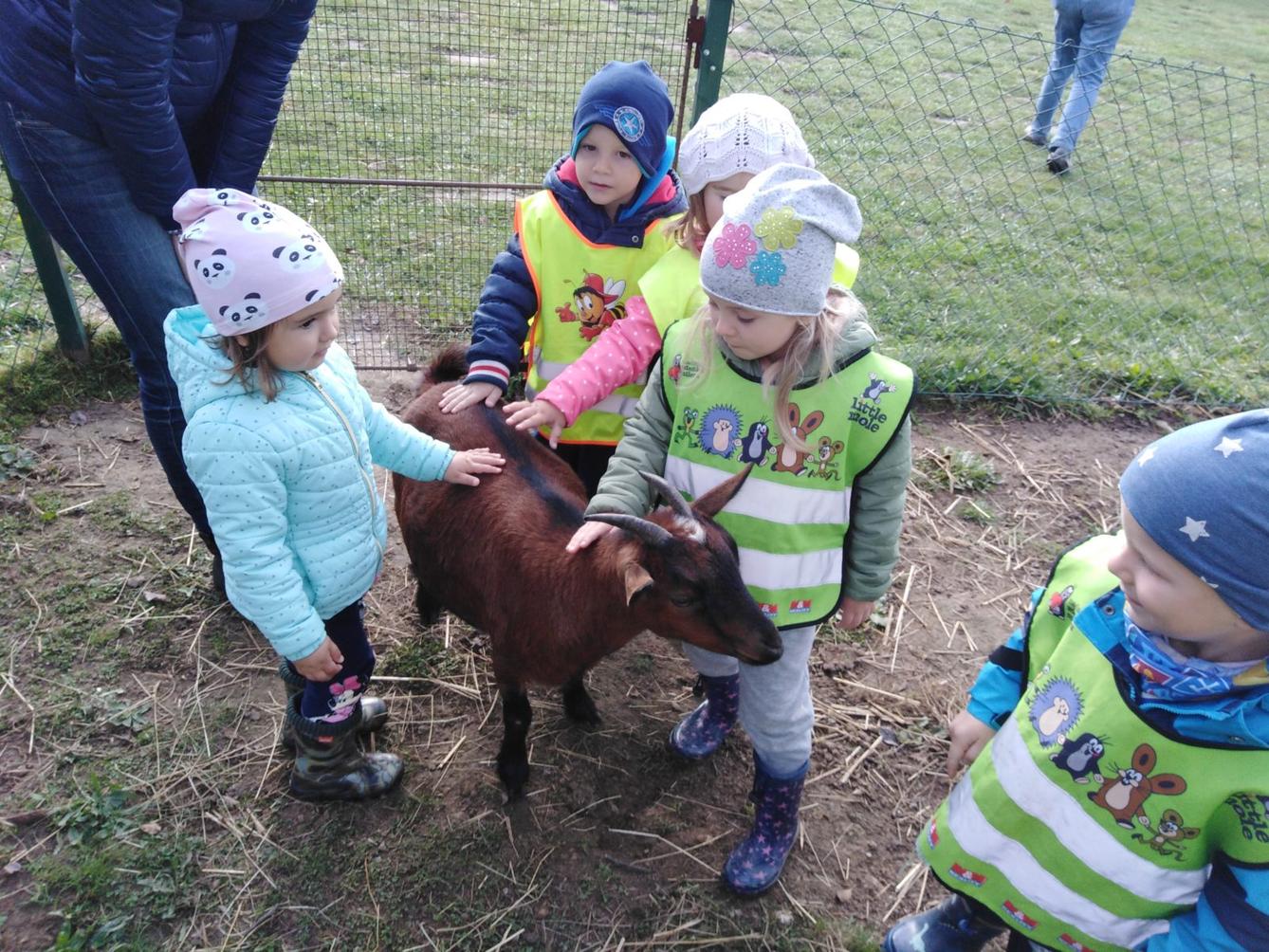 Broučci: vycházky za zvířátky - 2