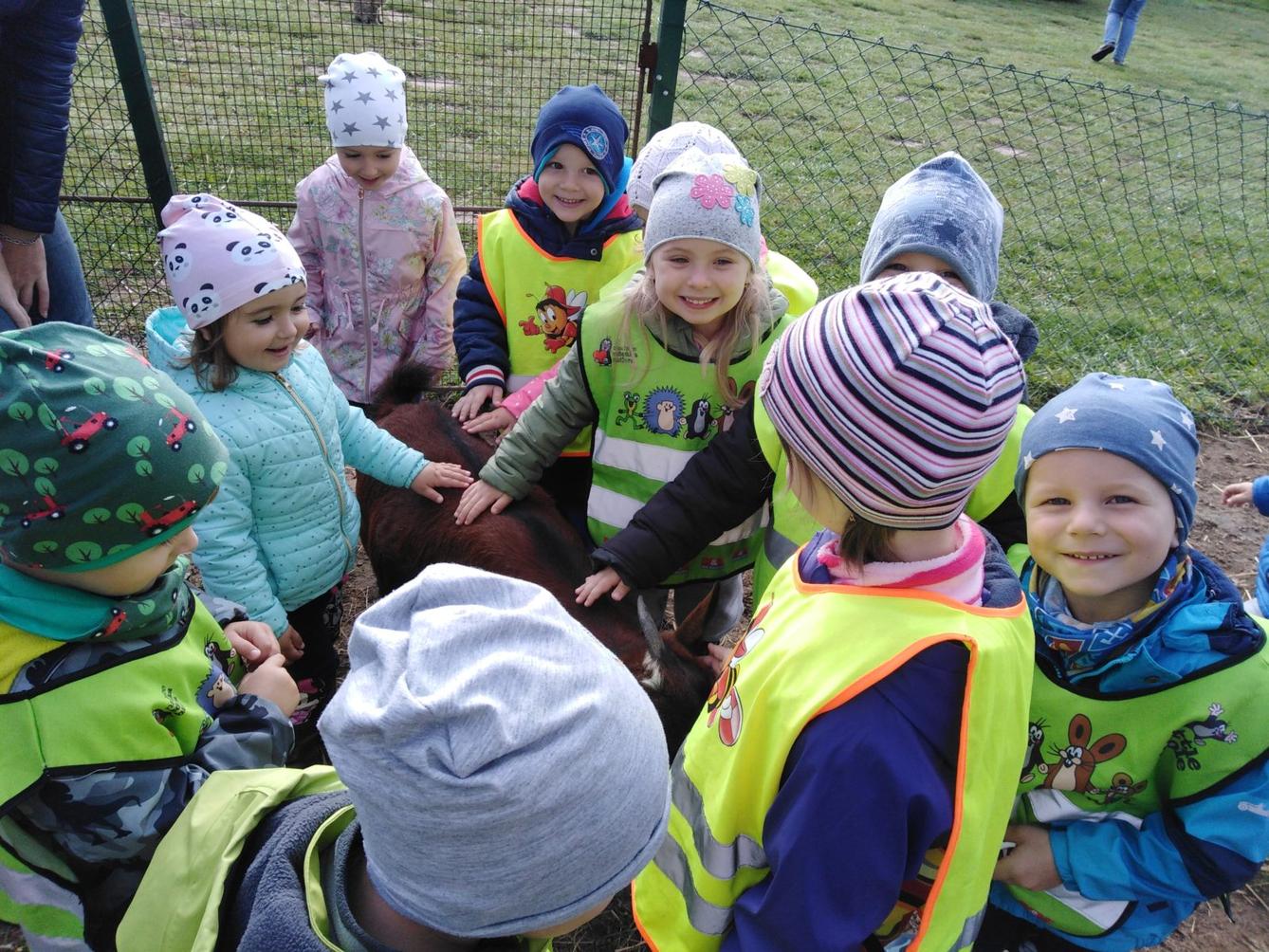 Broučci: vycházky za zvířátky - 4