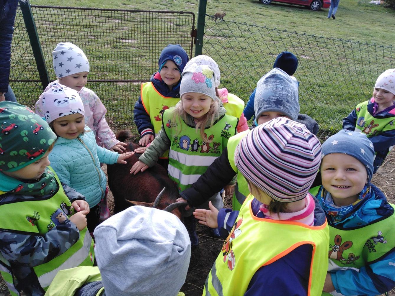 Broučci: vycházky za zvířátky - 5