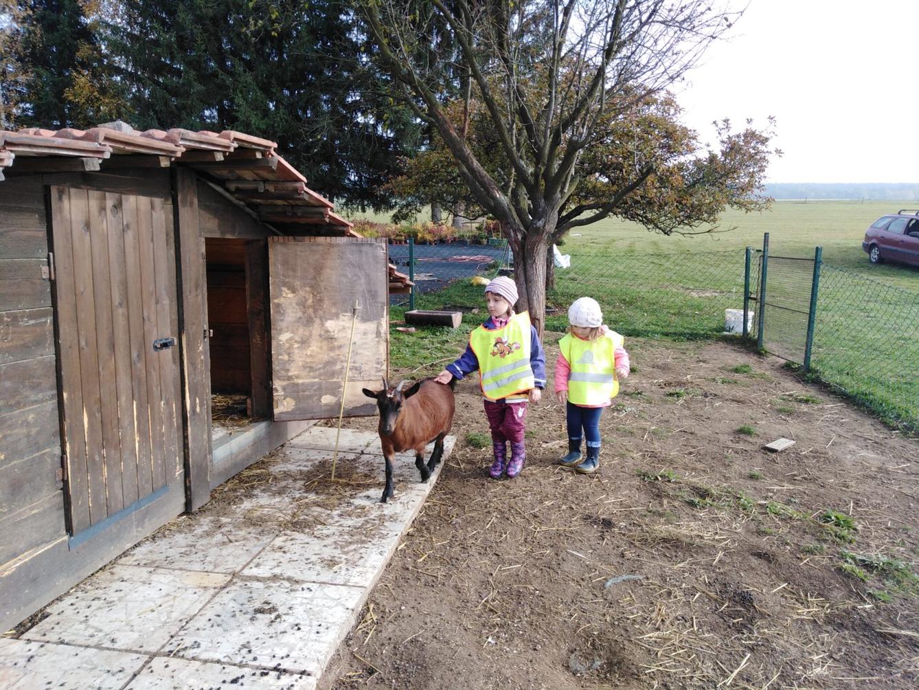 Broučci: vycházky za zvířátky - 8