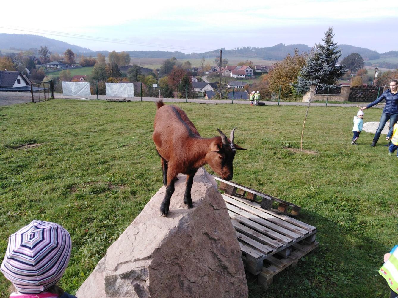 Broučci: vycházky za zvířátky - 9