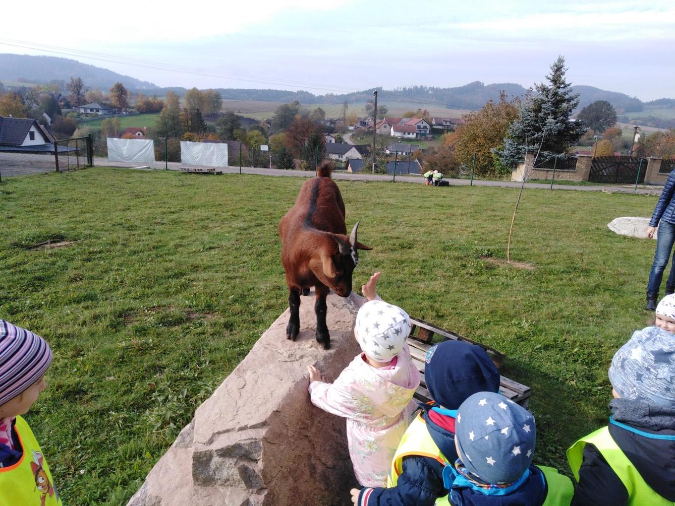 Broučci: vycházky za zvířátky - 10