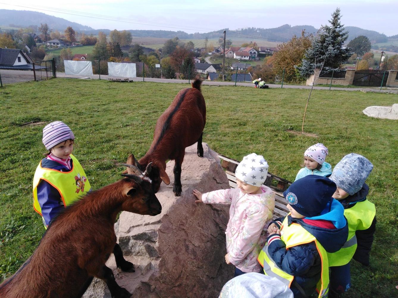 Broučci: vycházky za zvířátky - 11