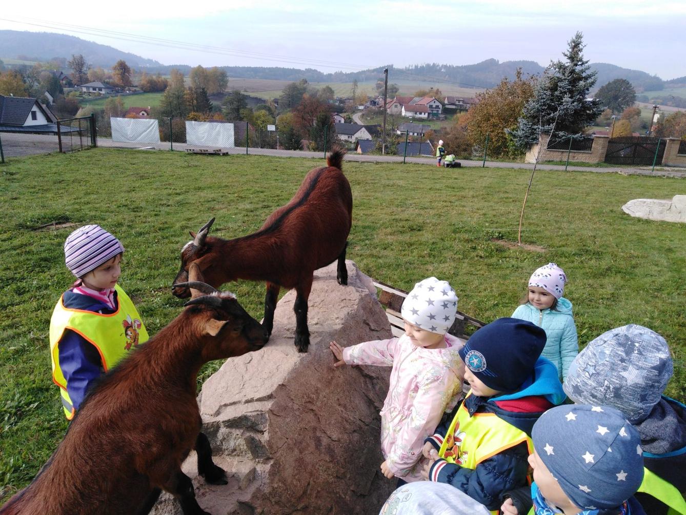 Broučci: vycházky za zvířátky - 12