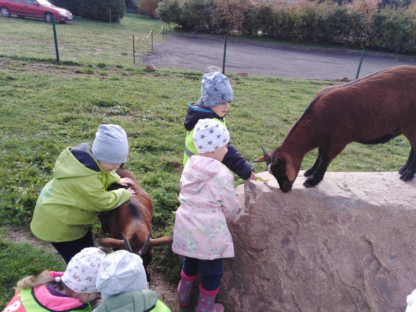Broučci: vycházky za zvířátky - 16