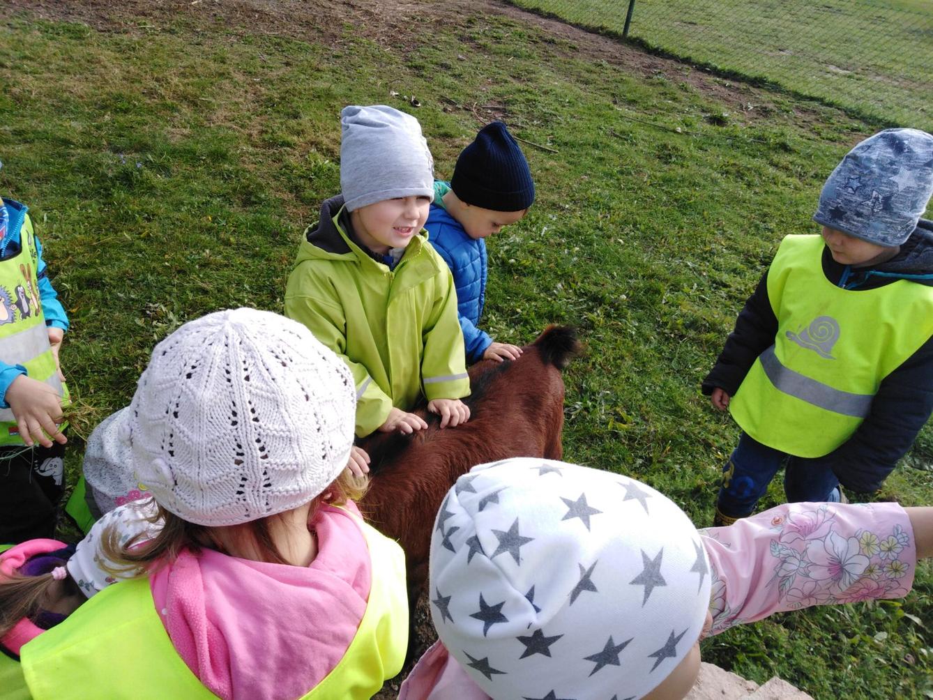 Broučci: vycházky za zvířátky - 18