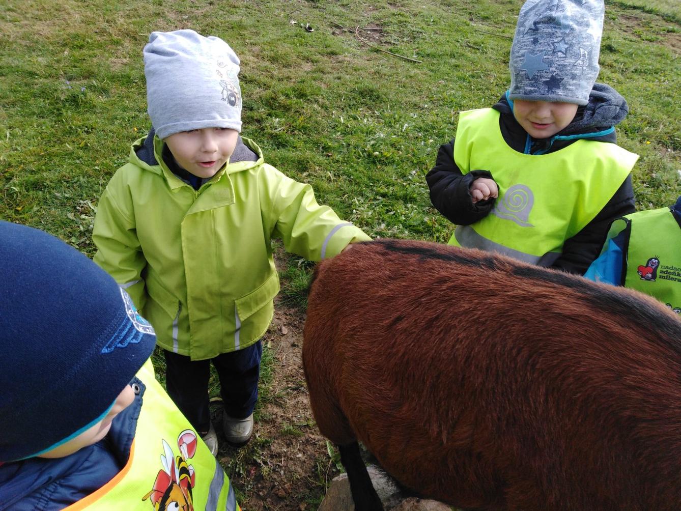 Broučci: vycházky za zvířátky - 19