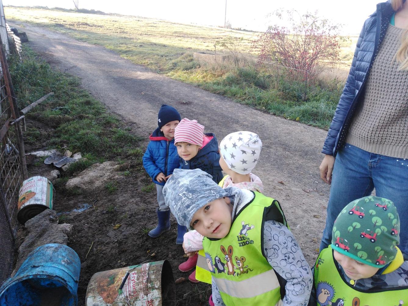 Broučci: vycházky za zvířátky - 28