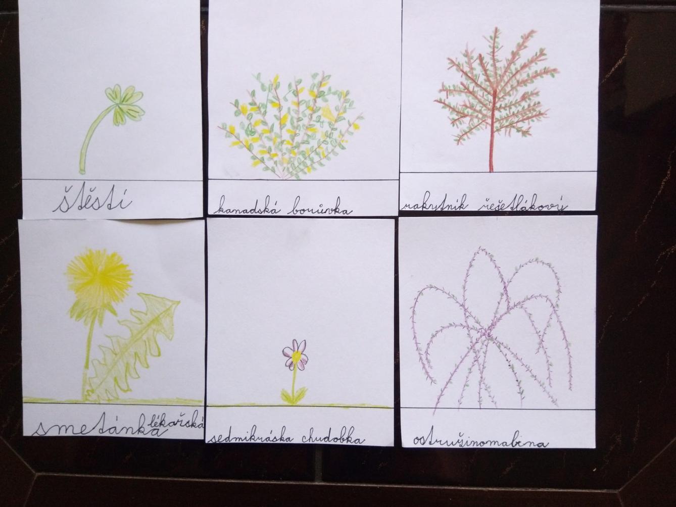 Den Země od třeťáčků 22. 4. - 11