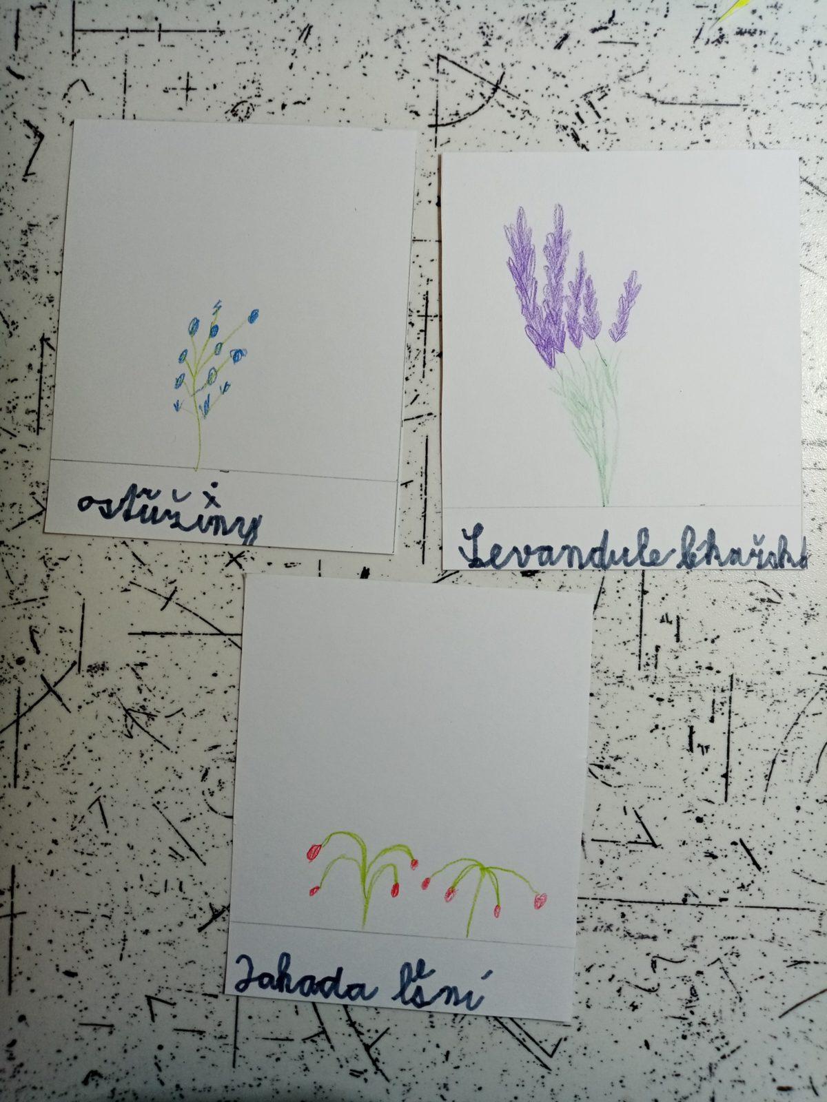 Den Země od třeťáčků 22. 4. - 13