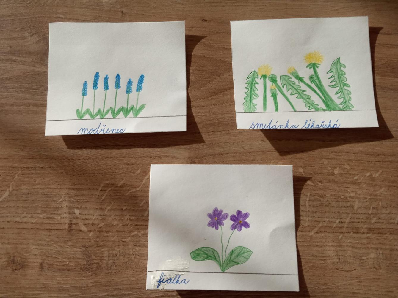 Den Země od třeťáčků 22. 4. - 14