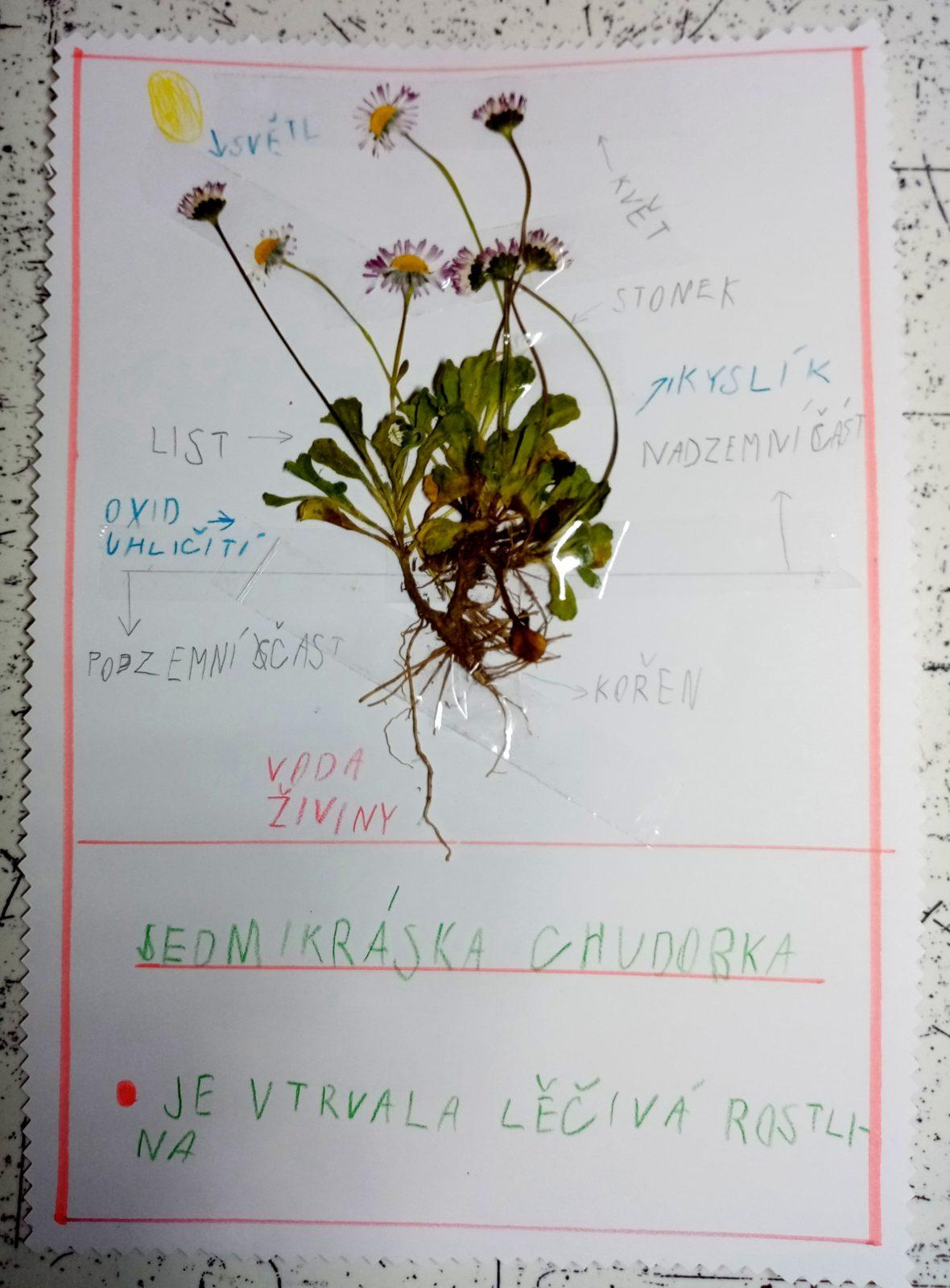 Geohrátky ve 3. třídě 10. 5. - 33