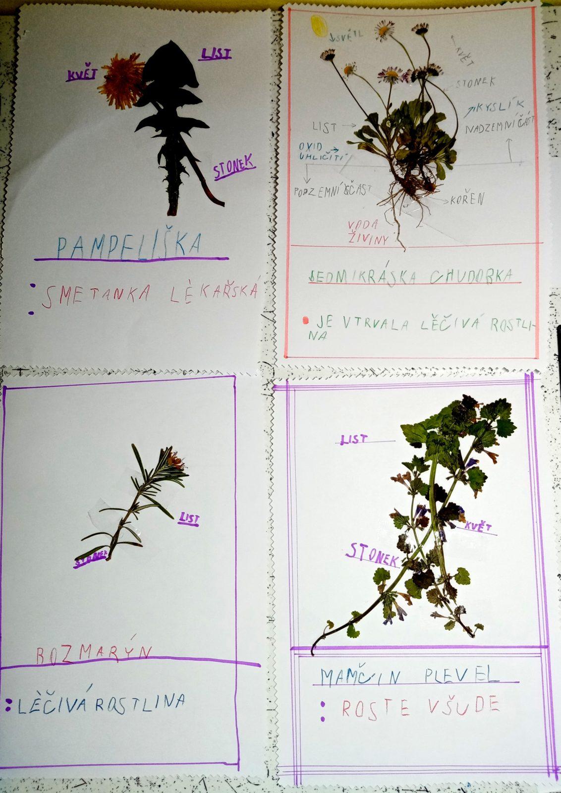 Geohrátky ve 3. třídě 10. 5. - 34