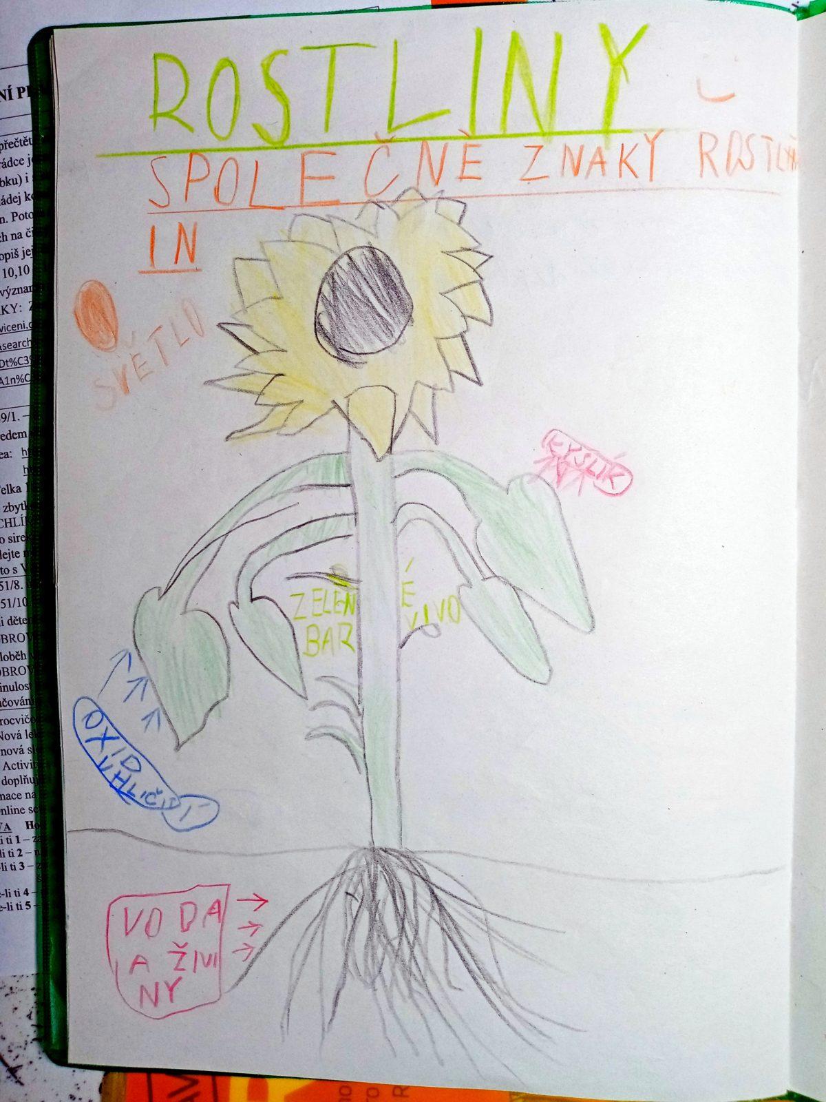 Geohrátky ve 3. třídě 10. 5. - 35