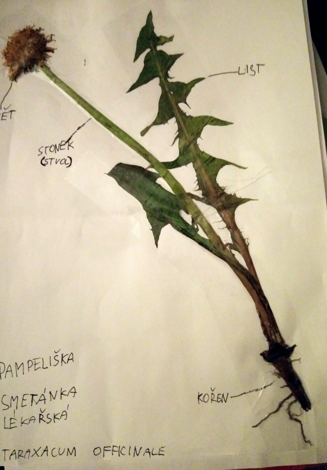 Geohrátky ve 3. třídě 10. 5. - 41