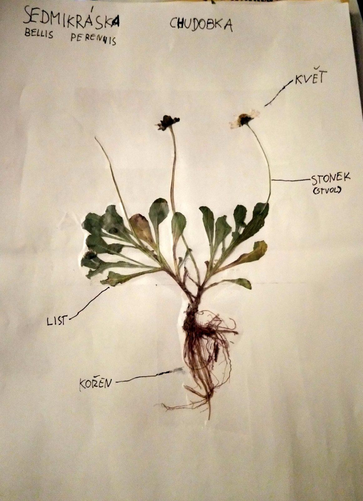 Geohrátky ve 3. třídě 10. 5. - 42