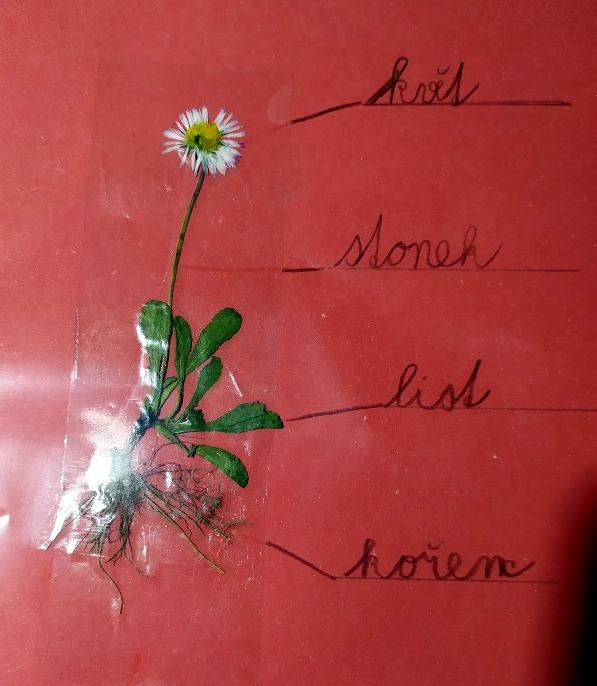 Geohrátky ve 3. třídě 10. 5. - 43