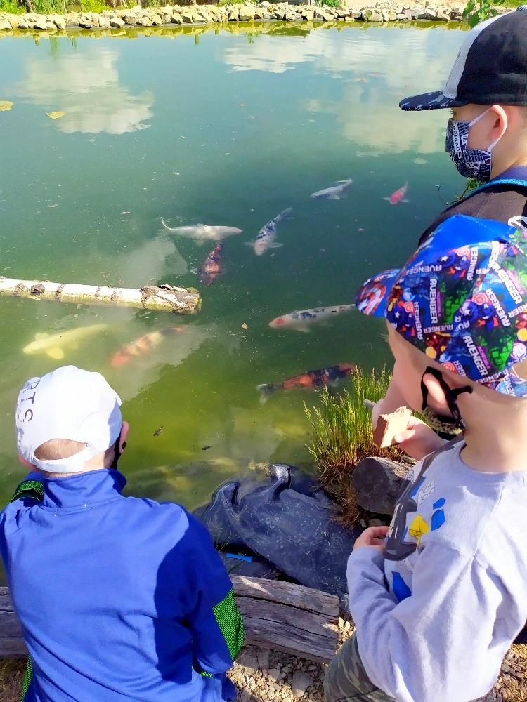 Království ryb u třeťáčků 13. 6. - 32