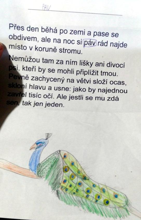 2. online čtenářský klub 15. 5. - 7