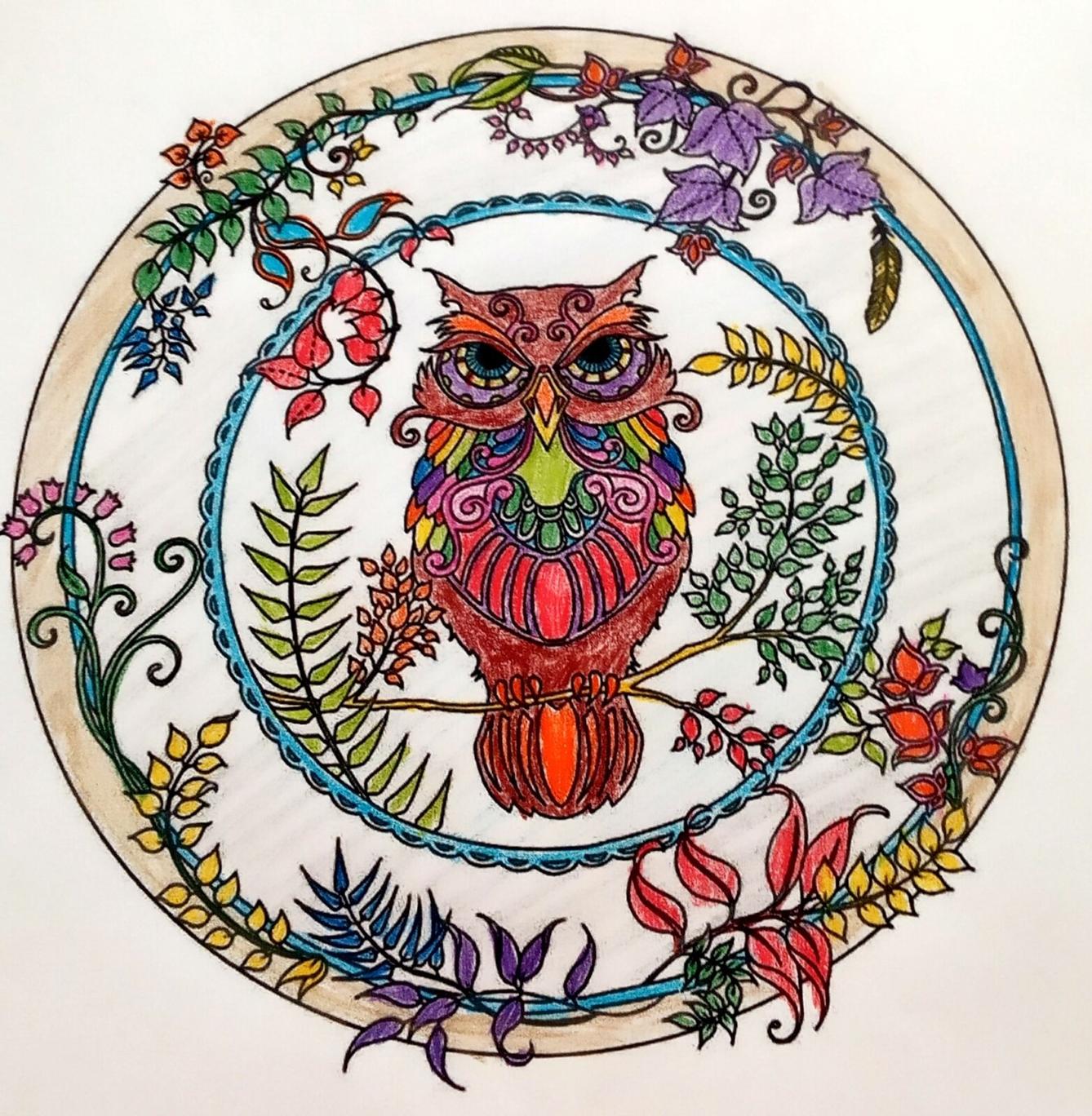 Činnosti u třeťáčků 6. 6. - 27