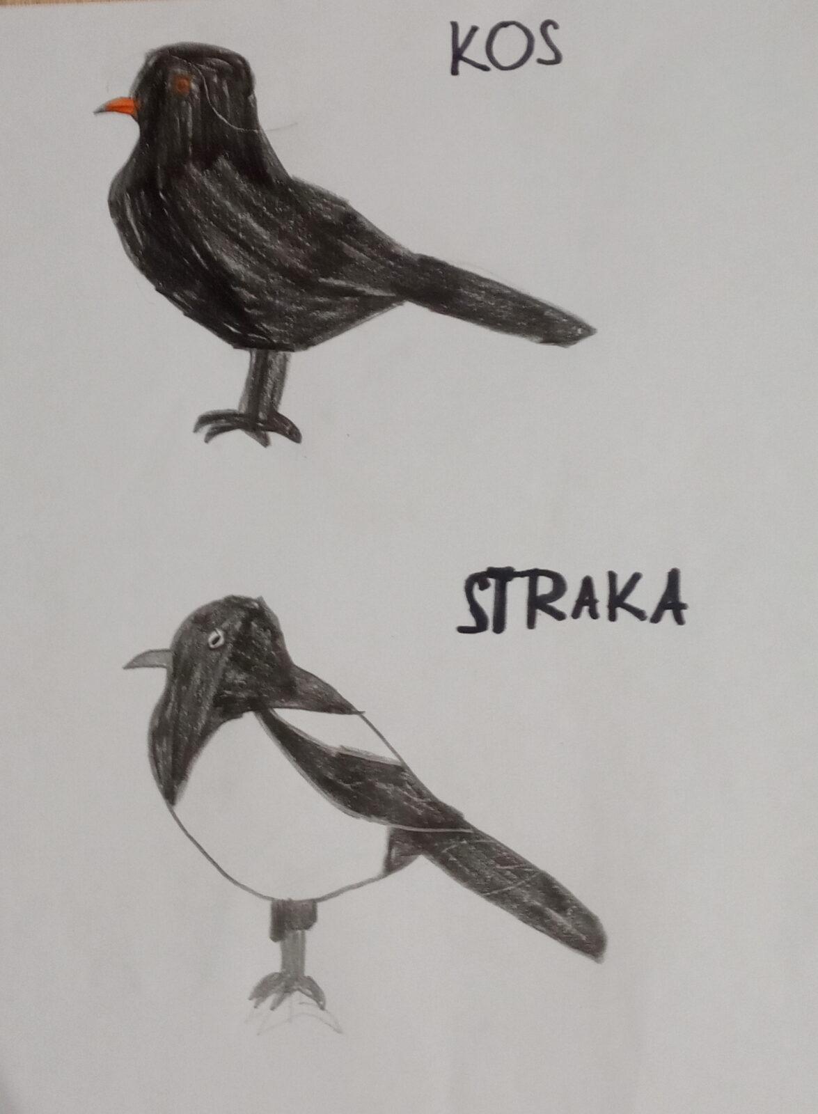 Činnosti u třeťáčků 6. 6. - 29