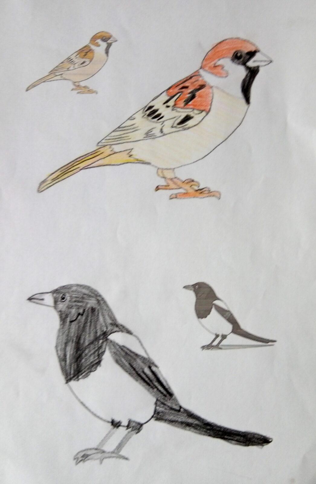 Činnosti u třeťáčků 6. 6. - 31