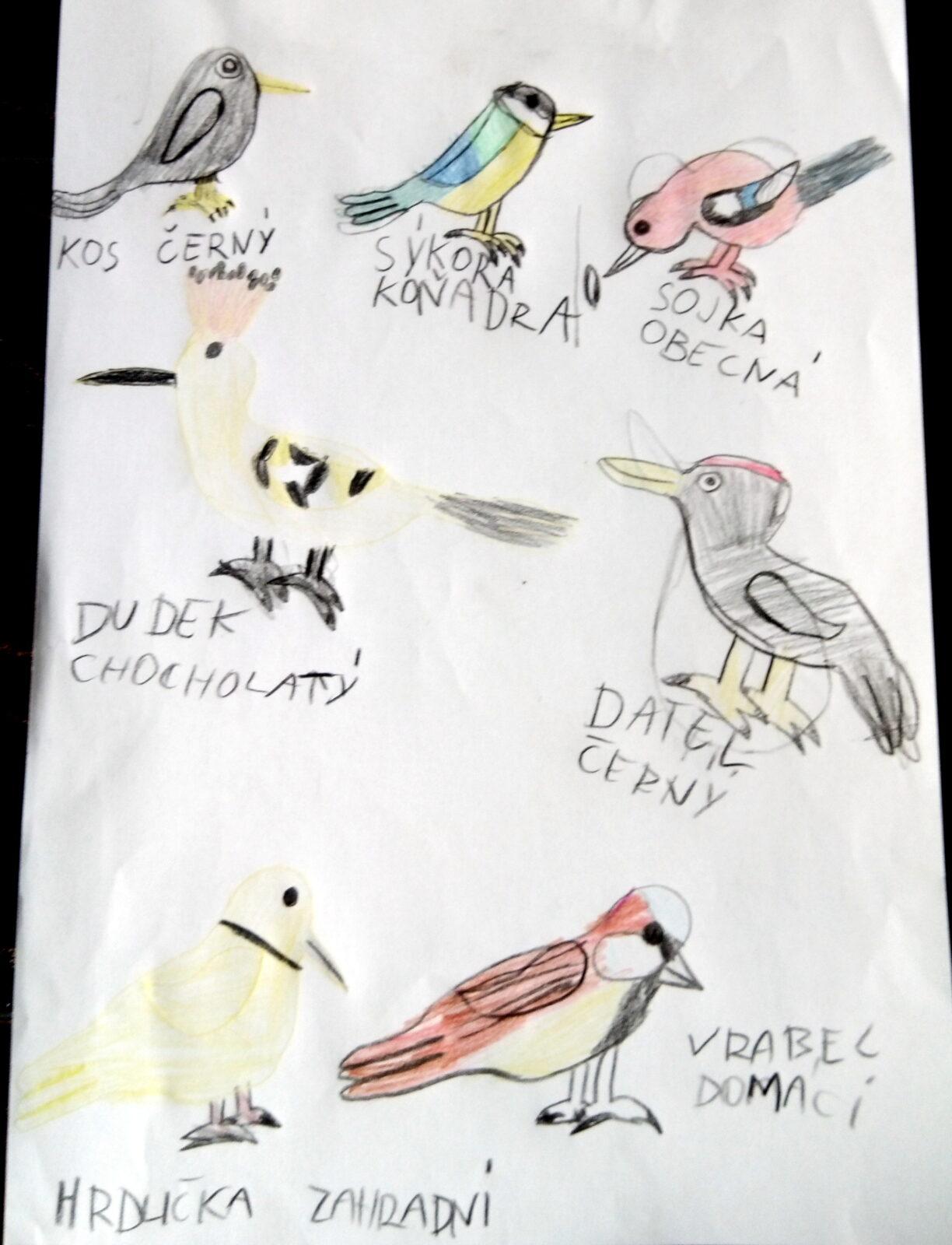 Činnosti u třeťáčků 6. 6. - 35