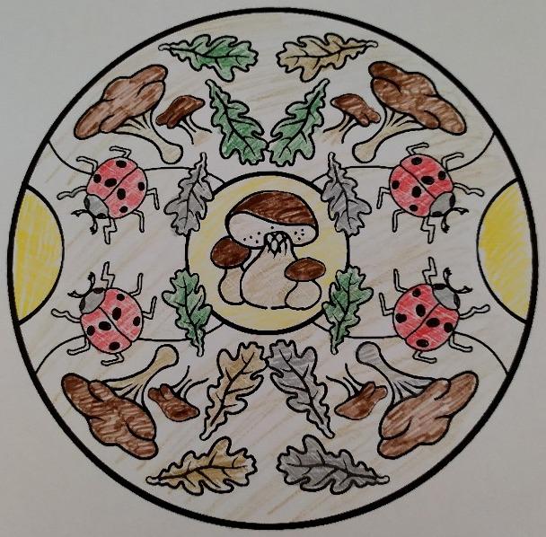 Činnosti u třeťáčků 6. 6. - 37