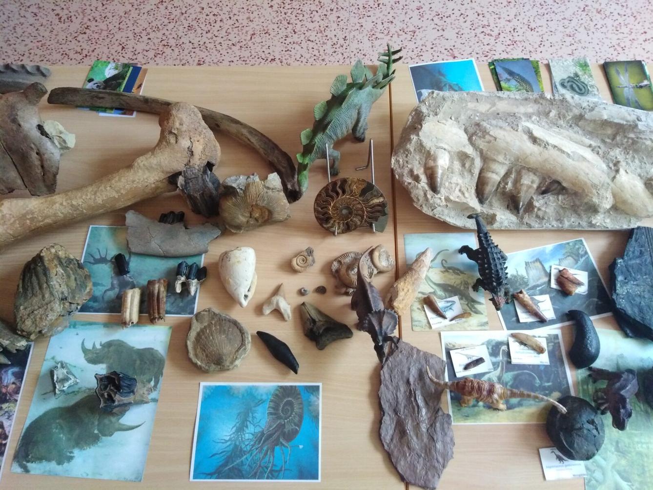 Projektový den v MŠ: "Cesta do Pravěku" - 5