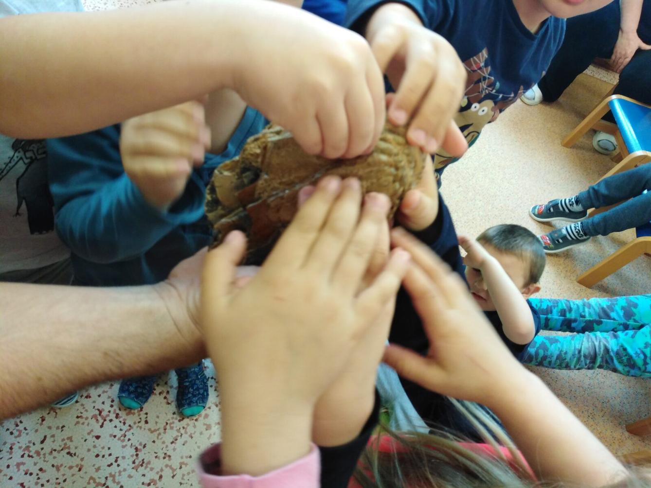 Projektový den v MŠ: "Cesta do Pravěku" - 81