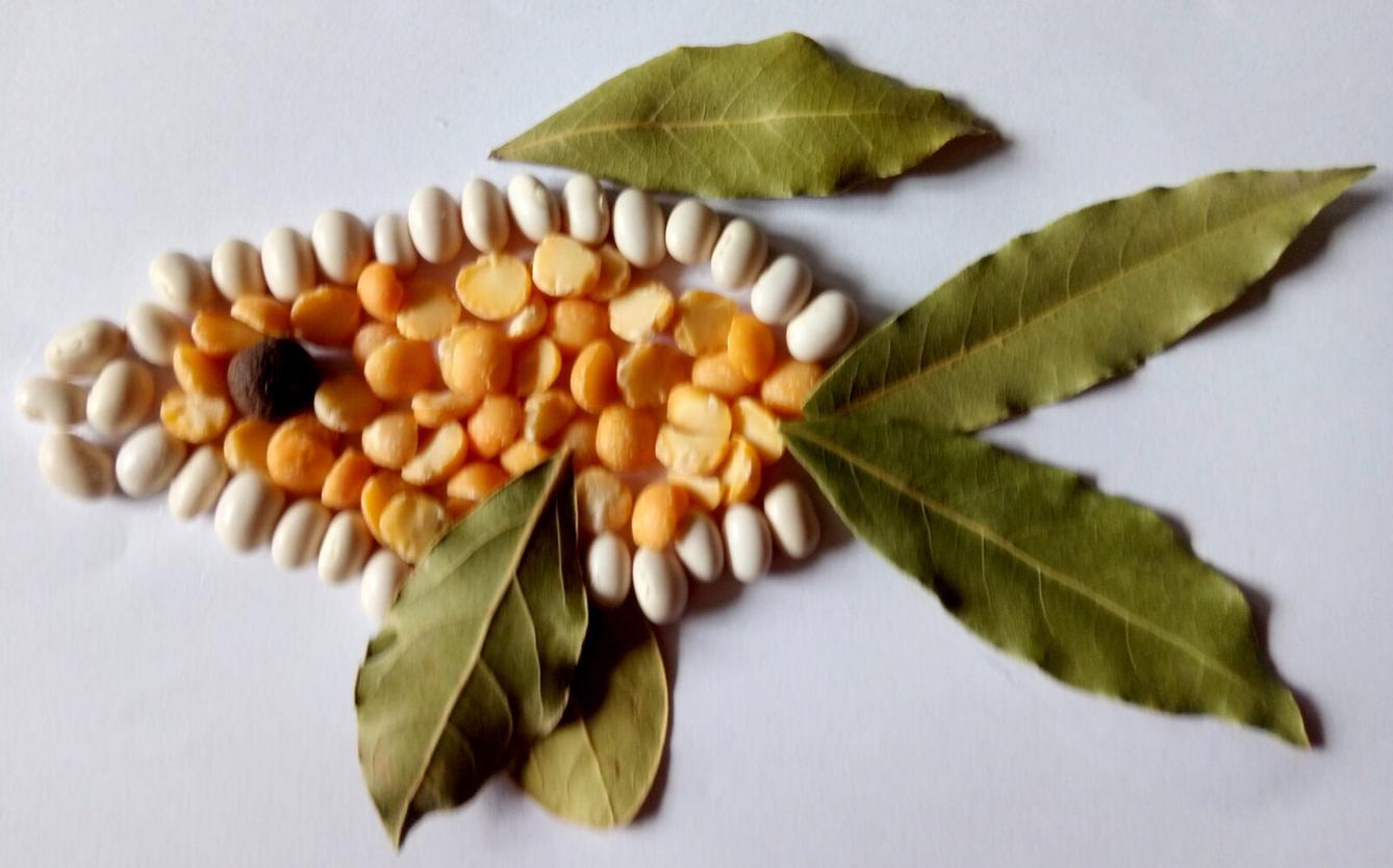 Království ryb u třeťáčků 13. 6. - 37