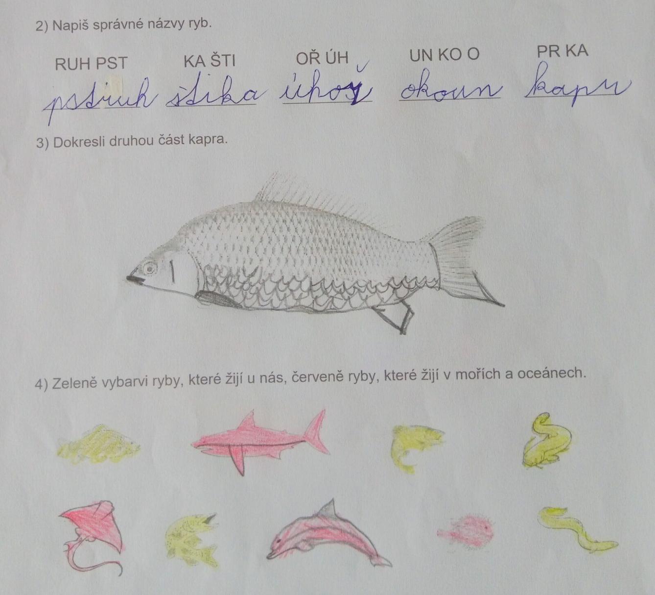 Království ryb u třeťáčků 13. 6. - 42