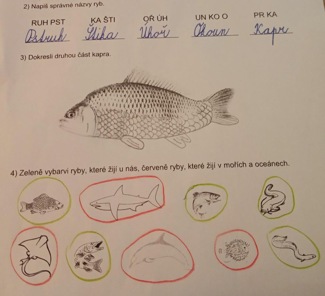 Království ryb u třeťáčků 13. 6. - 43