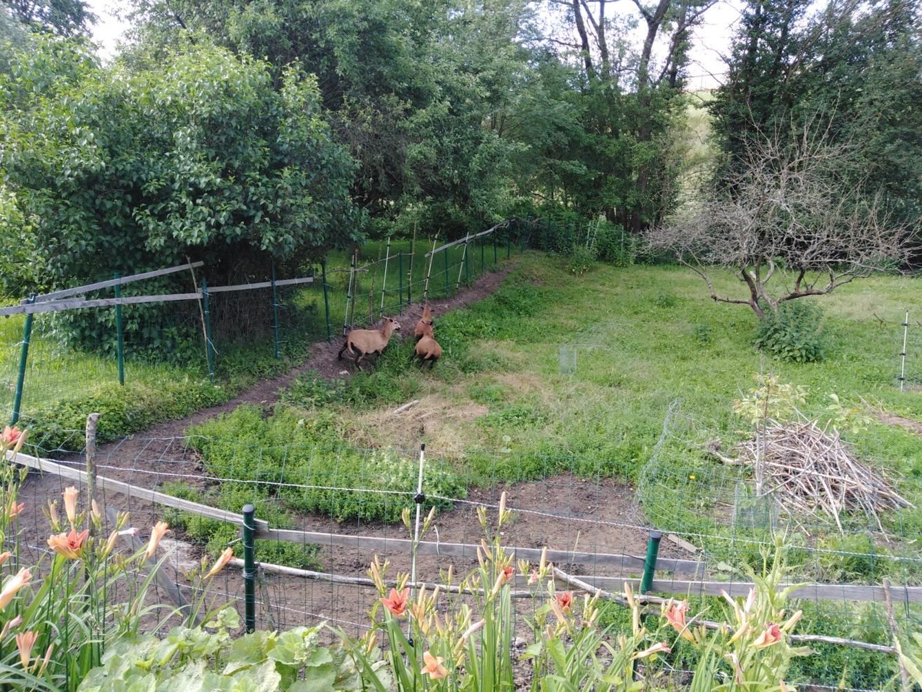 SLÁVA, NAZDAR VÝLETU!!!! - 4