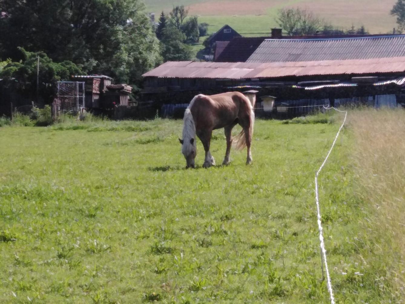 SLÁVA, NAZDAR VÝLETU!!!! - 21